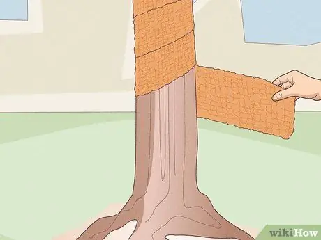 Пряжа бомба шаг 10