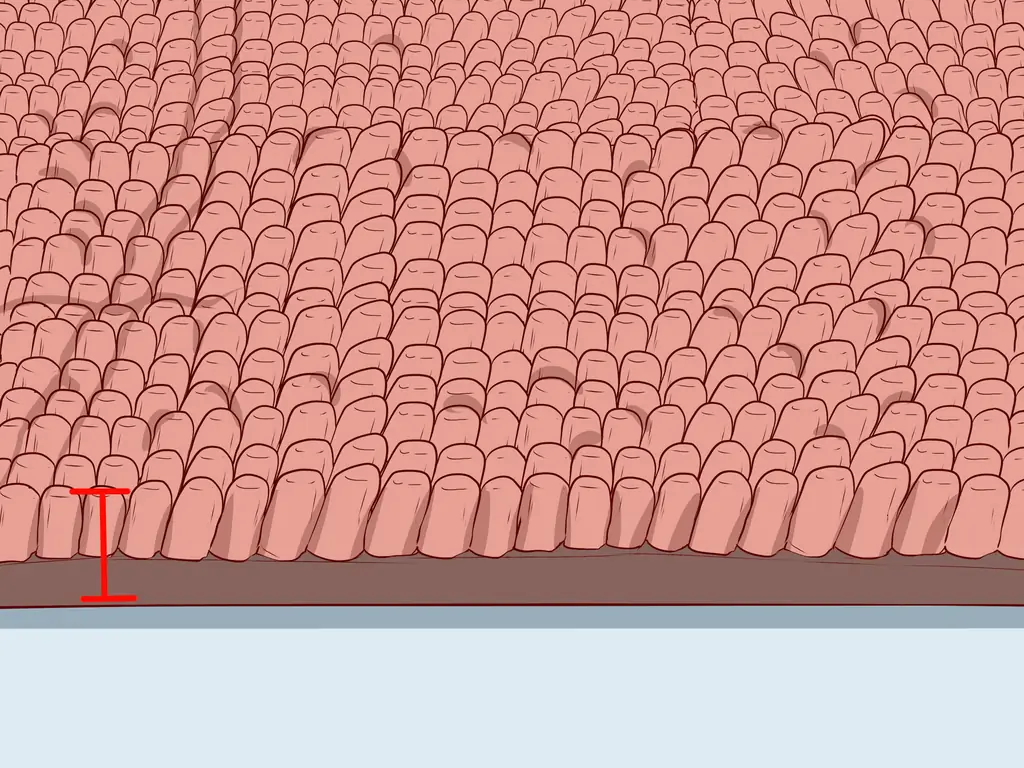 3 способа удаления мебельных вмятин с ковра