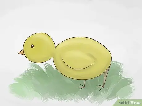 Рисуем двухмерную птицу (для начинающих) Шаг 10