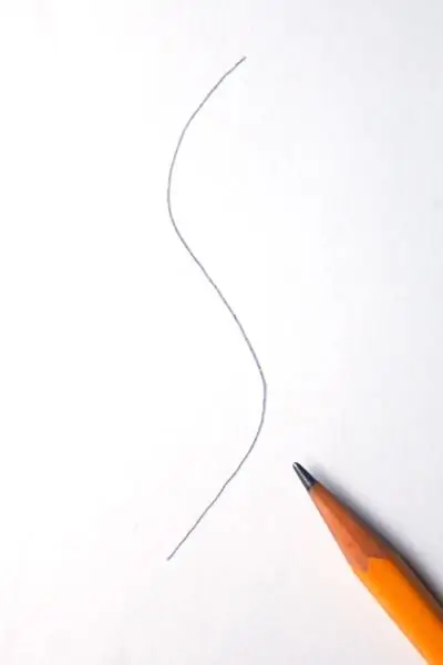 DrawSeaCreature Шаг 1 DrawSeaCreature Шаг 1