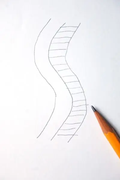 DrawSeaCreature Шаг 3 DrawSeaCreature Шаг 3