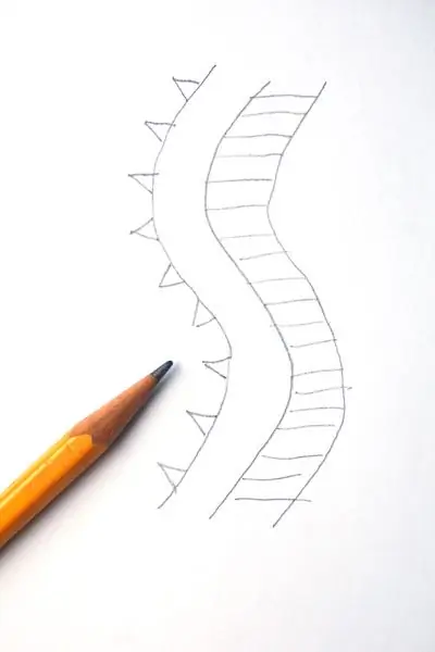 DrawSeaCreature Шаг 4 DrawSeaCreature Шаг 4
