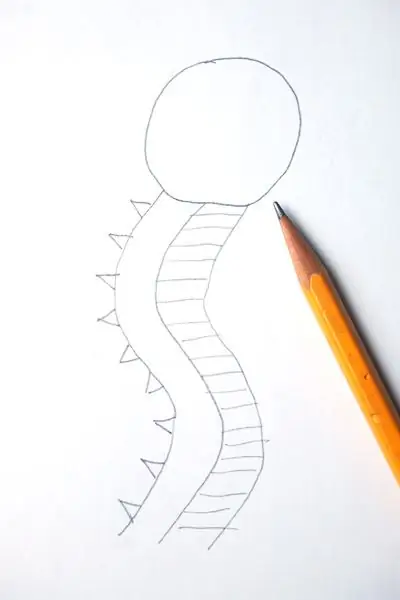 DrawSeaCreature Шаг 5 DrawSeaCreature Шаг 5