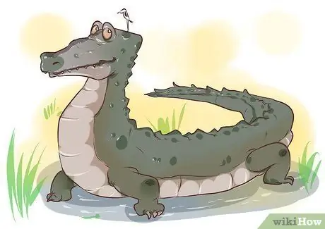 Рисуем милых мультяшных животных Шаг 8