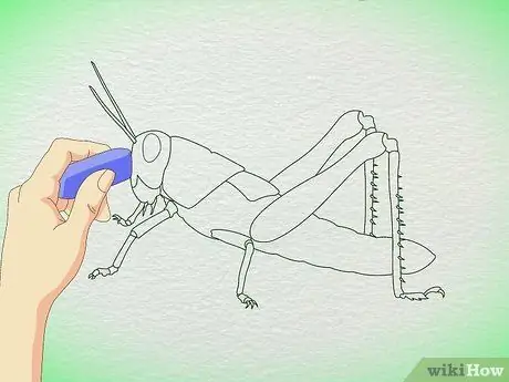 Рисуем кузнечика. Шаг 4 Рисуем кузнечика. Шаг 4