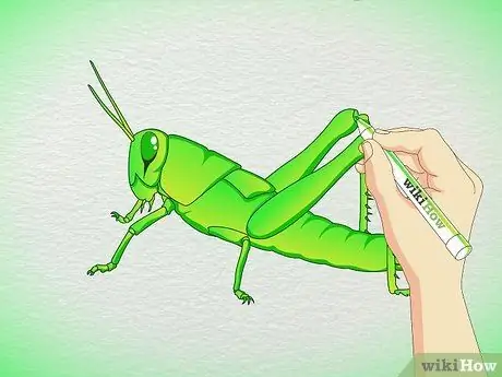 Рисуем кузнечика. Шаг 5 Рисуем кузнечика. Шаг 5