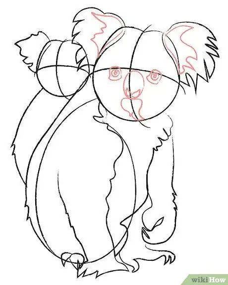 KoalaBear Face Шаг 5 KoalaBear Face Шаг 5
