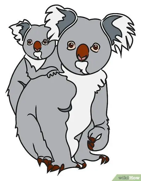 KoalaBear Color Step 9 KoalaBear Color Step 9