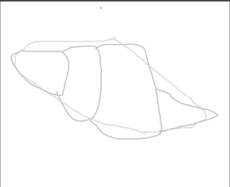 Drawaconchstep3