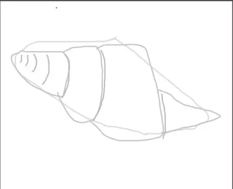 Drawaconchstep4