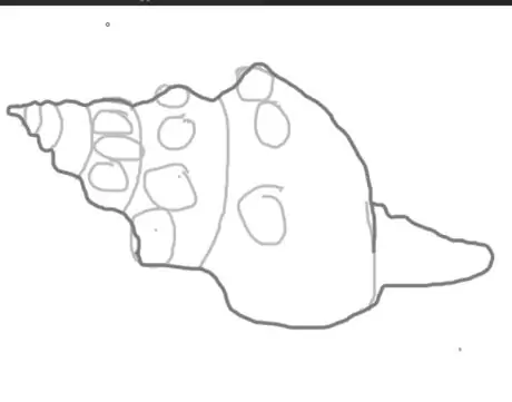 Drawaconchstep6
