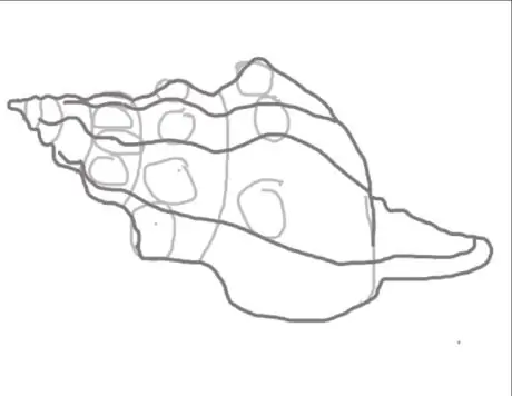 Drawaconchstep7