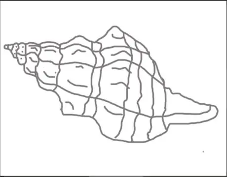 Drawaconchstep8