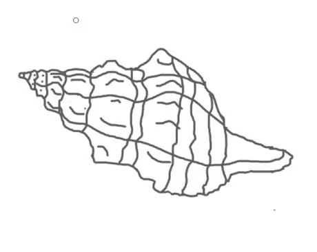 Drawaconchstep9