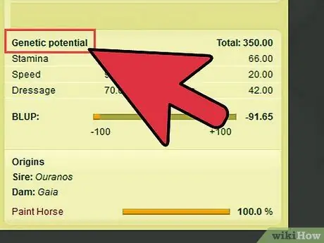 Продайте свою лошадь быстро на шаге 3 Howrse