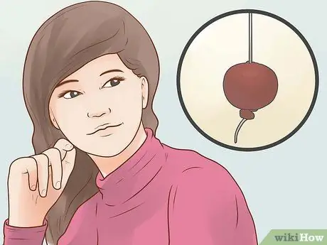 Играть в Conkers Step 1