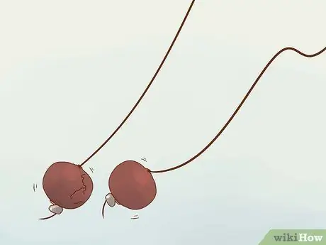 Играть в Conkers Step 10