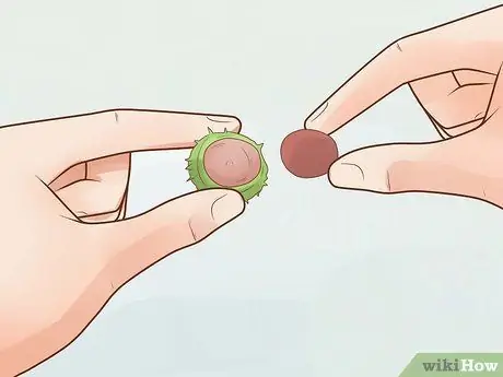 Играть в Conkers Step 13