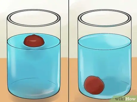 Играть в Conkers Step 14