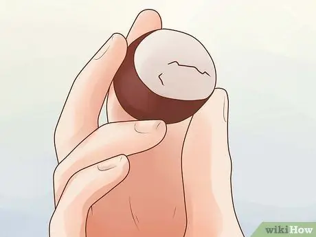 Играть в Conkers Step 6
