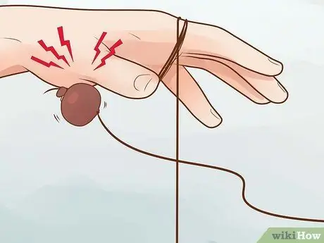 Играть в Conkers Step 9