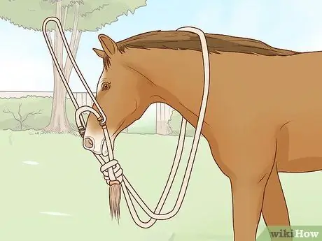 Свяжите Bosal Шаг 10