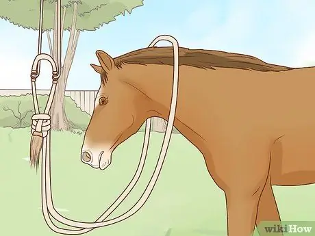 Свяжите Bosal Шаг 9