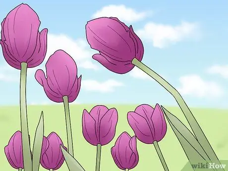 Улучшение композиции в ваших фотографиях Шаг 15
