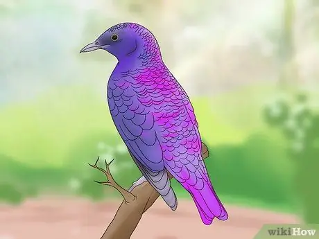 Улучшение композиции в ваших фотографиях Шаг 4