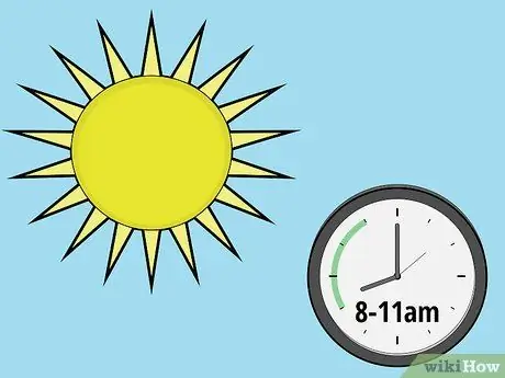 Сфотографируйте под водой Шаг 13