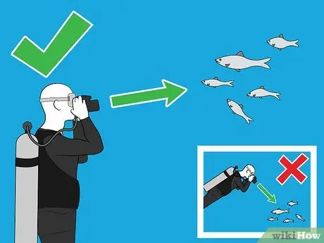 Сфотографируйте под водой Шаг 17