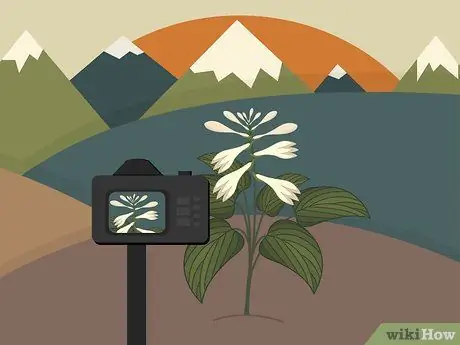 Сфотографировать горы Шаг 13