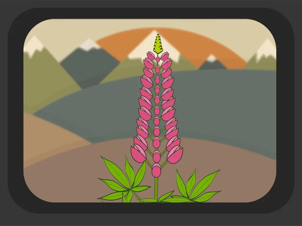 Как фотографировать горы (с фотографиями)