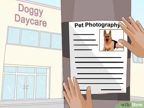 Начать бизнес по фотографии домашних животных Шаг 10