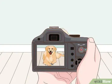 Начать бизнес по фотографии домашних животных Шаг 15