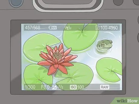 Делайте хорошие фотографии природы Шаг 10