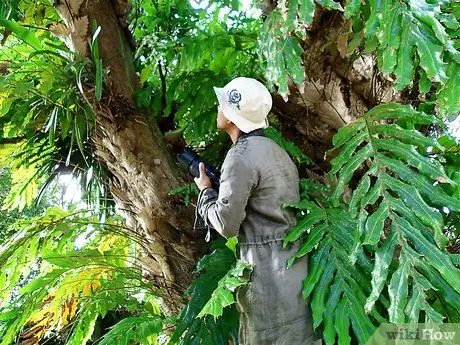 Снимайте фотографии дикой природы, шаг 3
