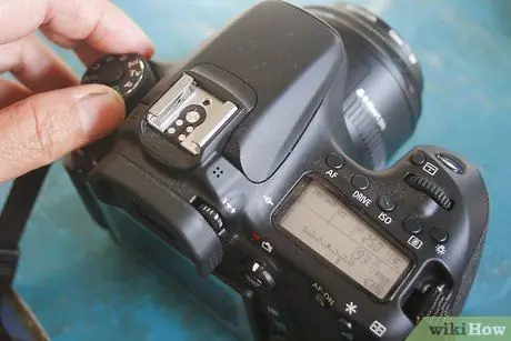 Сделайте милые фотографии своего хомяка Шаг 6