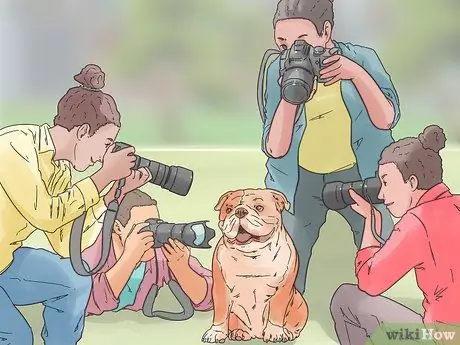 Сфотографировать собак Шаг 7