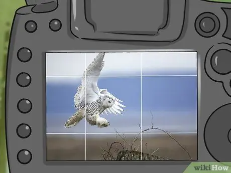 Сфотографировать птицу Шаг 13