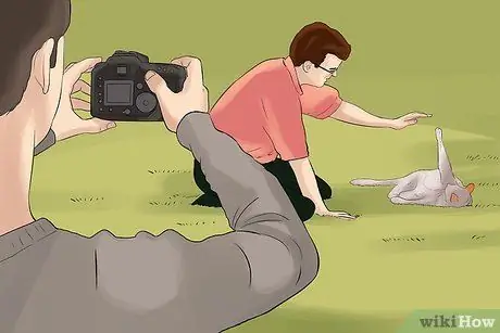Сфотографируйте очаровательных кошек. Шаг 11