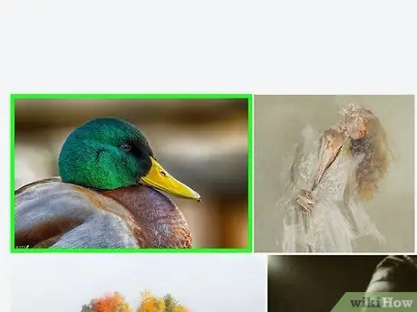 Загрузите изображения с Flickr Шаг 11