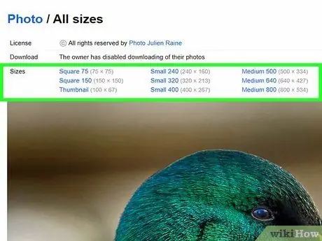 Загрузить изображения с Flickr Шаг 6