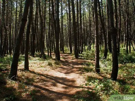 Составьте свой центр интереса Шаг 1