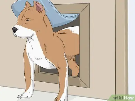 Не позволяйте другим животным использовать дверцу для домашних животных Шаг 1