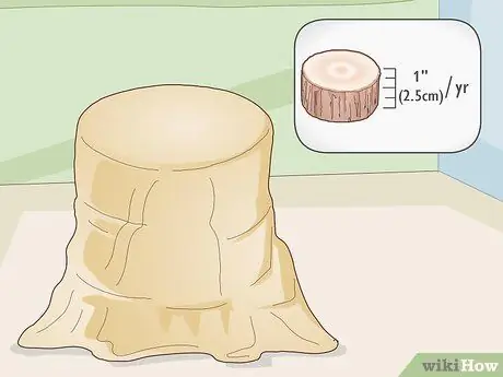 Предотвращение раскола деревянных плит Шаг 5