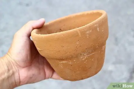 Сделайте висячий сад с травами для вашей кухни Шаг 6