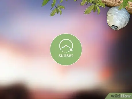Найдите гнездо для желтой куртки, шаг 6