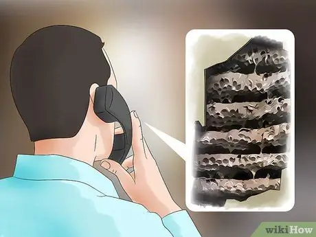 Убейте желтых курток в стене, шаг 11