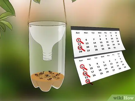 Сделать ловушку для пчел Шаг 7